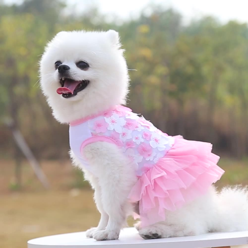 pet dog cat peach blossom dress clothes teddy bichon pet supplies clothing factory wholesale