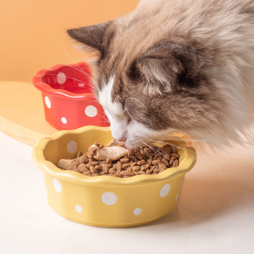 ceramic  bowl ce polka dot pet bowl anti-b chin  food holder  food bowl small dog teddy pet supplies