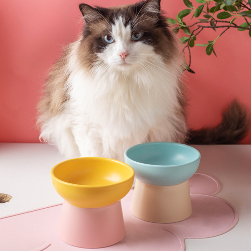 contrast color ceramic  bowl high foot protection cervical spine  food bowl  dog  basin drinking bowl pet sna bowl wholesale