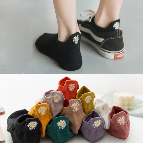 袜子女短袜春夏季薄款浅口船袜卡通纯色棉袜刺绣小雏菊摆地摊货源
