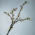 New Product Artificial Simulation Flower Single Large Wintersweet for Soft Decoration Design Scene Layout Furniture Entrance