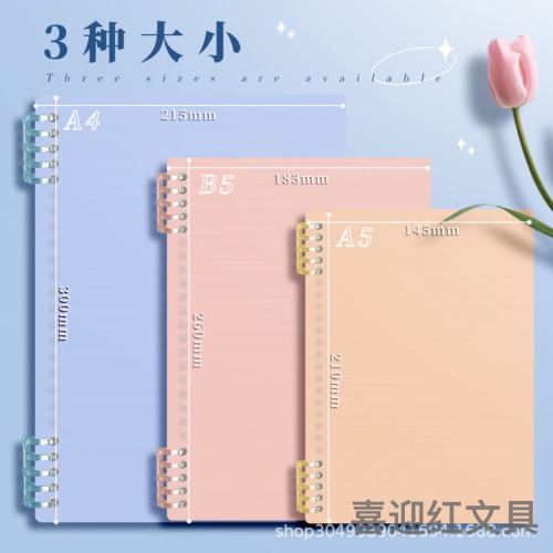 Pp Cover A4a5a6 Coil Plastic Buckle Notebook