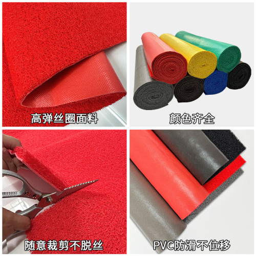 批发星期PVC塑料塑胶丝圈通用入户门口PVc脚垫卷材可裁剪喷丝地毯