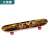 Huijunyi Physical Fitness-Yoga Supermarket Sporting Goods Series-HJ-F080-F081-F082 Twin Tips Skateboard