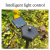 Radish Rabbit Solar Ground Lamp Garden Resin Solar Decorative Lamp Courtyard Led Solar Lawn Lamp