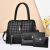 Hand-Held Trendy Women's Bags New Fashion set Ladies Composite Bags One Piece Dropshipping 16914