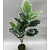 2-Fork Simulation Green Plant Ficus Lyrata Rubber Tree