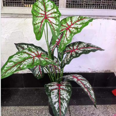 9-Head Alocasia-Leaf Simulation Green Plant