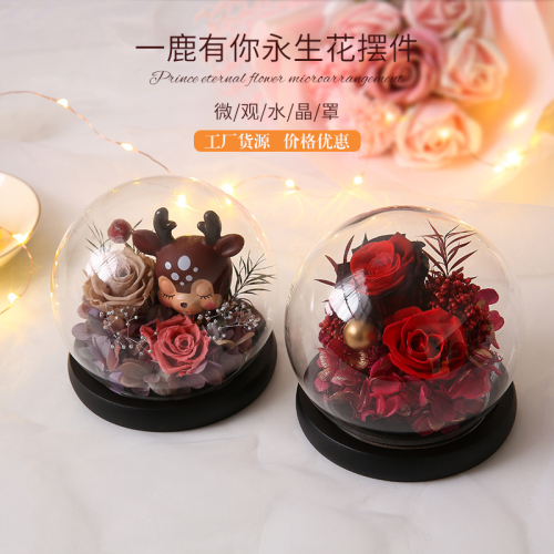 永生花小号圆形玻璃罩小鹿摆件圣诞节创意礼物玫瑰花 永生花成品