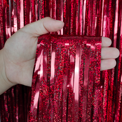 leserFoil Fringe Curtain Exclusive Party Wall Decorations Supply sparkle