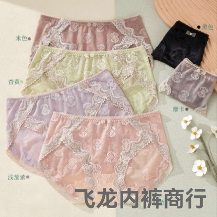 women‘s underwear lace triangle mid-waist light chic breathable nude feel skin-friendly comfortable domestic wholesale foreign trade in stock