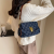 Cross-Border Niche Shoulder Messenger Bag Wholesale All-Match Fashion Women's Bag One Piece Dropshipping 6616