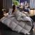 Four Seasons Universal Spring and Autumn Quilt Thickened Imitation Duvet Quilt Core Warm Air Conditioning Quilt Gift Quilt