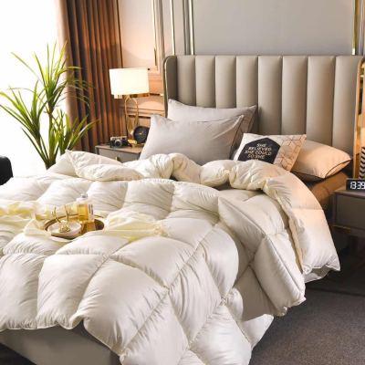 Four Seasons Universal Spring and Autumn Quilt Thickened Imitation Duvet Quilt Core Warm Air Conditioning Quilt Gift Quilt