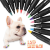 Dedicated New Pet Nail Beauty Paint Pen Graffiti Pen Color Pen Hook Line Three-in-One Soft Head Nail Brush