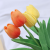 Single Pu Tulip DIY Bouquet Gift Box Simulation Plastic Flowers Indoor and Outdoor Decoration Shooting Props
