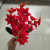 Factory Direct Sales 5 Fork 40 Head Narcissus Simulation Plastic Flowers Shooting Props Indoor and Outdoor Ornamental Flower