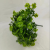 Factory Direct Sales 18 Fork 36 Head Simulation Plastic Water Plant Indoor and Outdoor Decorative Greenery
