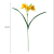 Single Stem Narcissus Artificial Flower Wedding New House Decoration Photo Props Handmade Flowers Artificial Green Plant Wholesale