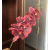 Factory Direct Sales Single 9-Head 3d Phalaenopsis Wedding Celebration Decoration Diy Flower Material