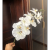 Factory Direct Sales Single 9-Head 3d Phalaenopsis Wedding Celebration Decoration Diy Flower Material