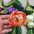 7-Head New Smile Opening Tulip Simulation Plastic Flowers Factory Direct Sales DIY Engineering Flower Wedding Indoor and Outdoor Decoration