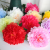 Chinese Simulation Plastic Flowers Peony KAO Peony DIY Dining Table Flower in Living Room Fake Flower Bouquet Single Stem Decorative Ornaments