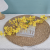 Single Winter Jasmine DIY Plastic Flowers Wedding Celebration Decoration Photography Props Home Decoration Simulation Raw Silk Fake Flower Wholesale