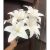 Wholesale 9 Large Lily Home Short Branch Simulation 3D Lily Wedding Decorative Fake Flower Entrance Decoration Simulation Flower