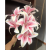 Wholesale 9 Large Lily Home Short Branch Simulation 3D Lily Wedding Decorative Fake Flower Entrance Decoration Simulation Flower