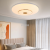 Factory Direct Sales Ceiling Lamp Lamp in the Living Room Wholesale Simple Bedroom Light Corridor Aisle Lamp Lighting