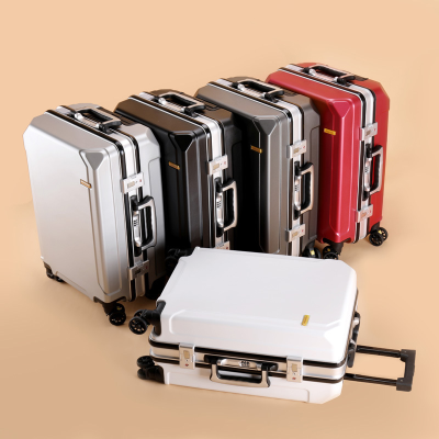 Luggage Case Aluminum Frame One Piece Dropshipping Trolley Case Male and Female College Student Luggage
