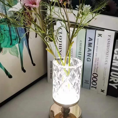 Flower Growing Charging Lamp Ambience Light