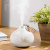 Strict Selection of Small Onion Humidifier Cross-Border Household Small Mute Heavy Fog Essential Oil Aromatherapy Humidifier All-in-One Machine