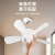 Cross-Border E27 Screw 5-Leaf Led Small Fan Lamp Removable Fan Blade Household Minimalist Mute Remote Control Fan Lamp