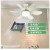 Remote Control Fan LED Light Ceiling Fan Mute Speed Control Fan Bulb E27 Universal Lamp Holder Removable Fan Blade