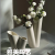 Niche Ceramic Vase Decoration a Pair of High-Grade Living Room Flower Arrangement Dining Table Light Luxury High-End Home Decorations