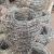 Galvanized Thorn Rope Blade Barbed Wire Prison Fence Meshes Barbed Wire Fence Barbed Wire Anti-Embroidery Plastic Coated Tribulus Terrestris Wall