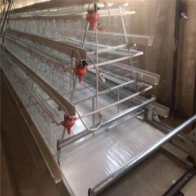 Laying Hens Cage Chicken Farm Dedicated Chicken Cage Household Hen Laying Eggs Laying Hens Cage Automatic Rolling Laying Hens Chicken Cage