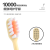 Cherry Blossom down Gum Care Toothbrush S-220