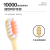 Cherry Blossom Feather Soft Gum Care Toothbrush S-101