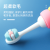 Cherry Blossom Q Version Dinosaur Children's Toothbrush S-736