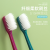 Cherry Blossom Soft Silk Gum Care Toothbrush A- 631 Fine