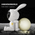 Cross-Border Hot Moon Rabbit Starry Sky Projection Lamp Bedroom Bedside Small Night Lamp Starry Laser Ambience Light Ornaments