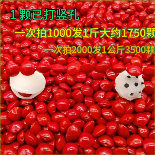 jequirity bean original seed buddha beads blood bodhi raw material red bean bodhi seed bracelet red heart bodhi seeds bracelet accessories