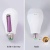Factory Direct Sales Outdoor Rechargeable Dual Battery Emergency Bulb with Battery 2-Year Warranty