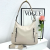 Bag 2024 Spring Online Influencer Fashion Simple Shoulder Bag High Sense Western Style All-Matching Middle-Aged Mom Messenger Bag
