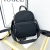 Black Simple Bag 2024 New Internet Celebrity Fashion Shoulder Bag Casual Oxford Cloth Outdoor All-Match Backpack