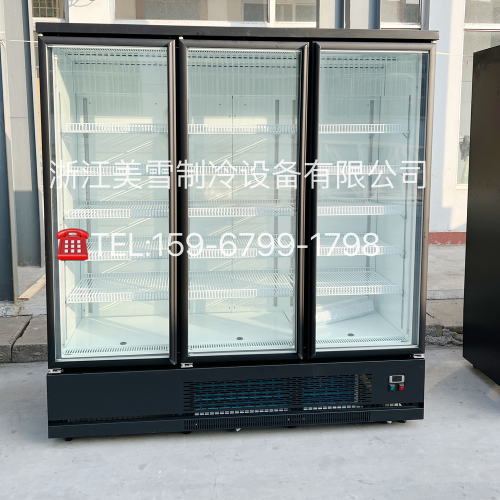 Frozen Refrigerated Display Cabinet Supermarket Food and Beverage Vertical Display Cabinet