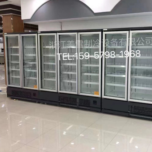 freezer vertical freezer freezer freeze storage display cabinet refrigerator fresh cabinet food equipment cold